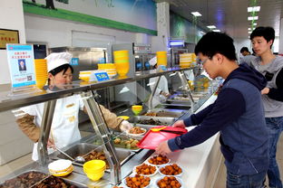 强化监督评议，提升餐饮服务管理水平